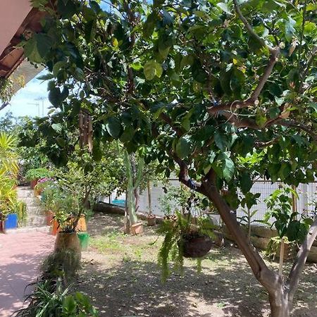 Hidden Nest Apartment Rodhia  ภายนอก รูปภาพ